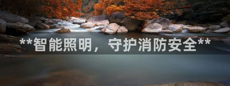 云顶国际服s10