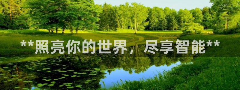 云顶国际服手游