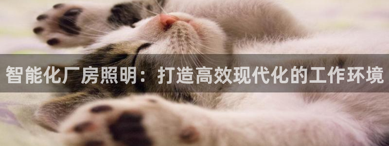 禹州云顶国际二手房