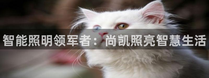 云顶集团 林