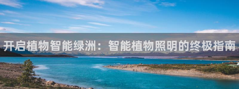 云顶国际集团游戏app