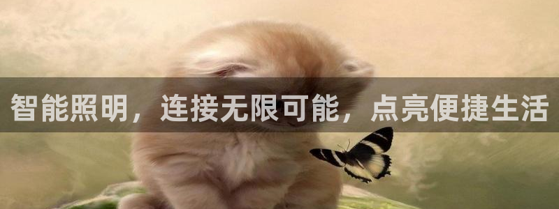 yd2333云顶电子游戏网址多少呢?