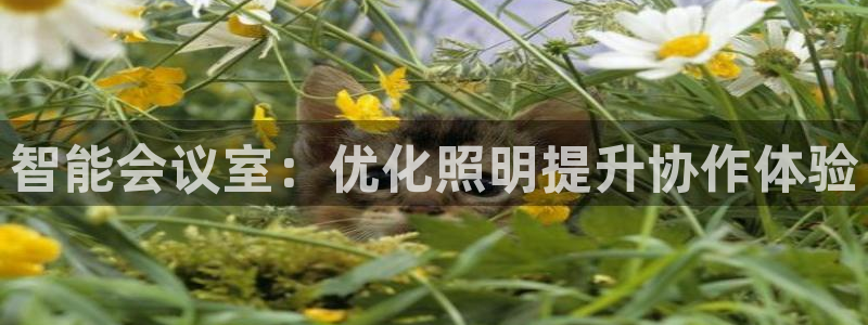 云顶集团有限公司,林东简历
