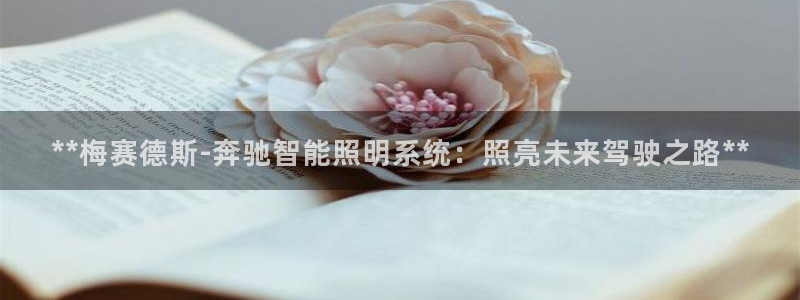 云顶国际pg网站官网