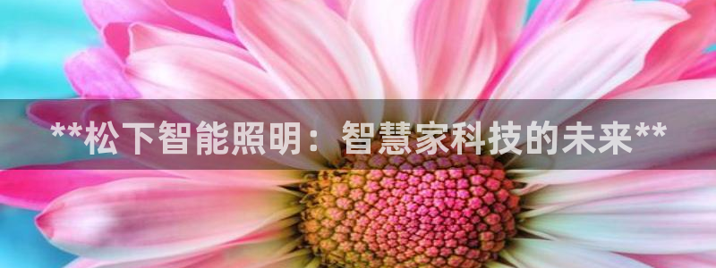 云顶国际测试服免费吗