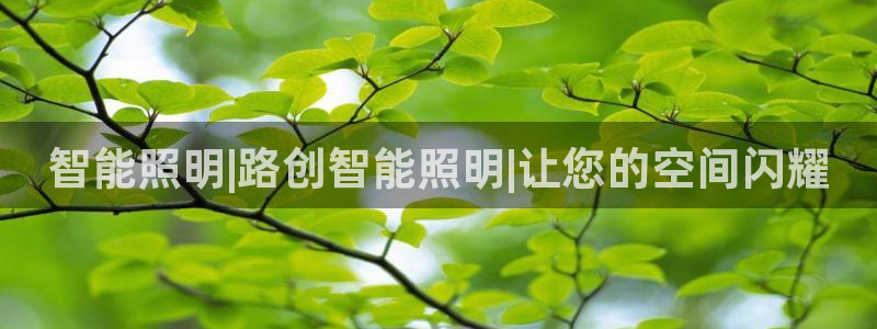 yd2333云顶电子