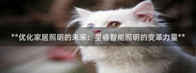 云顶小学国际班学费