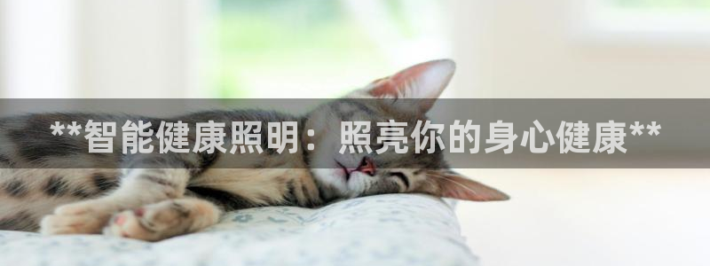 云顶国际服下载