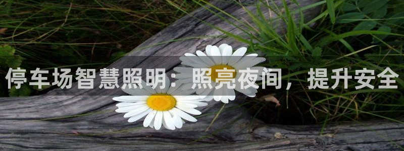 云顶国际服更新s9