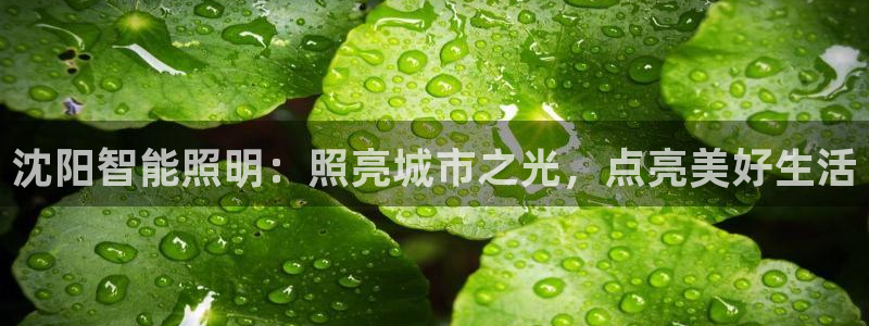 云顶国际网上平台