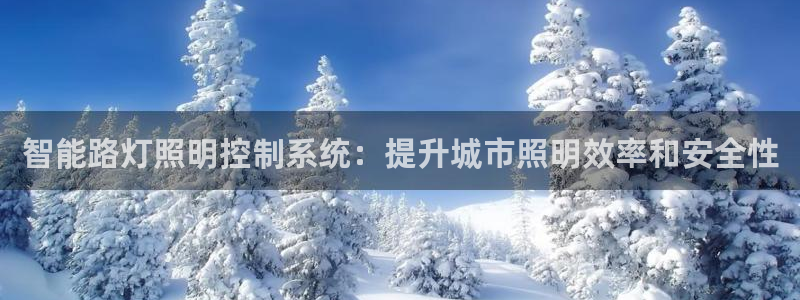 云顶国际商业广场可以充电动车吗