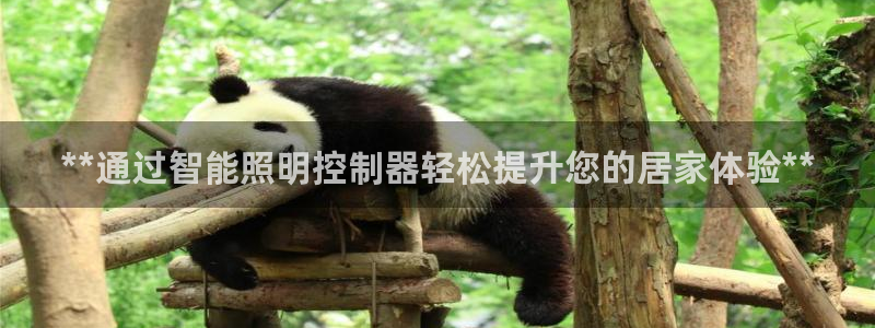 云顶国际ktv会所地址