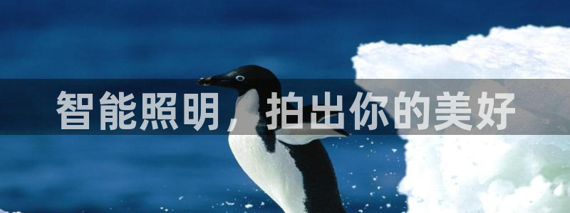 云顶国际商业广场 停车费怎么收