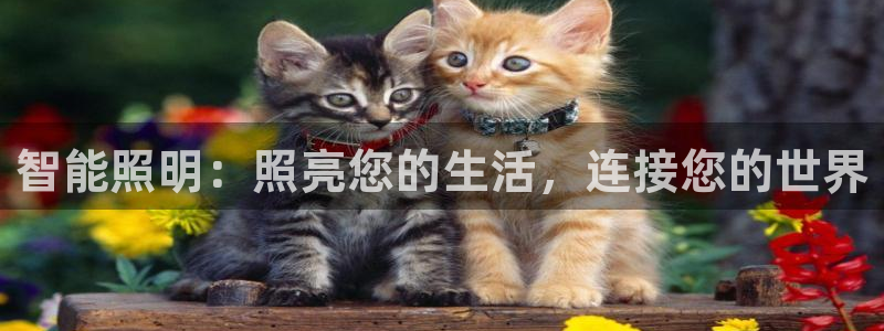 云顶国际高尔夫俱乐部