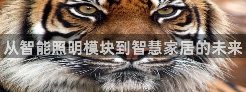云顶国际贴吧