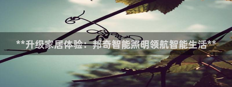云顶集团app免费下载安装