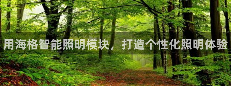 云顶国际是正规平台吗