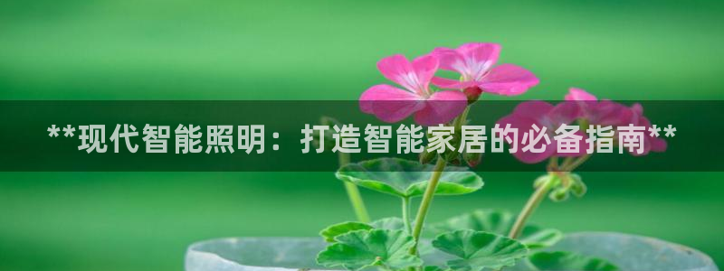 云顶国际商务会所地址