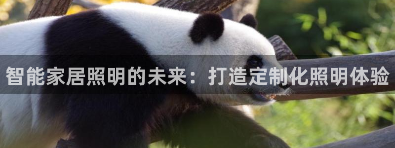 云顶集团是哪个国家的
