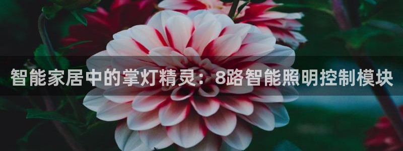 yd12300云顶线路
