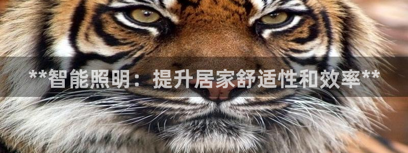 云顶国际平台为什么提现不了微信