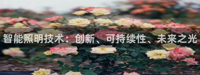 云顶国际前台电话