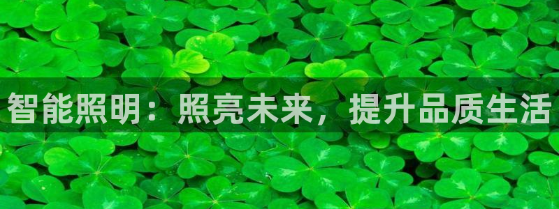 云顶国际app是什么
