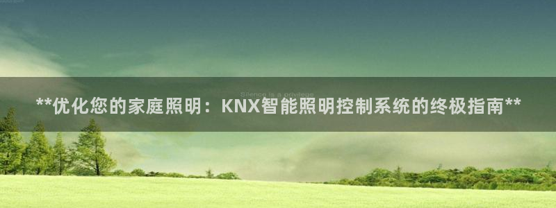 云顶国际商业广场a座101层