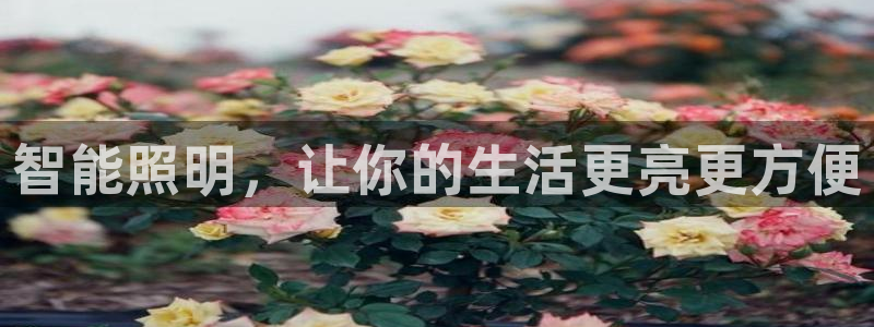 云顶国际提现不到账什么原因