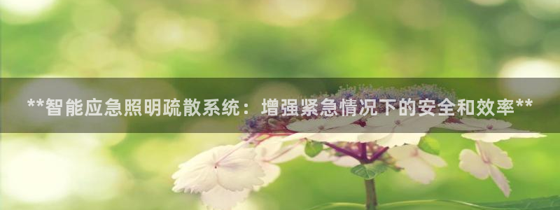 云顶 官网