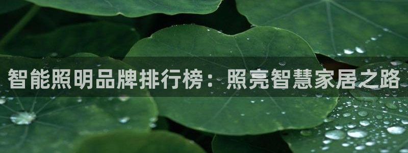云顶国际app是什么