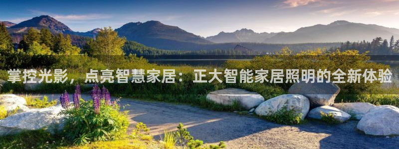 云顶国际服阵容