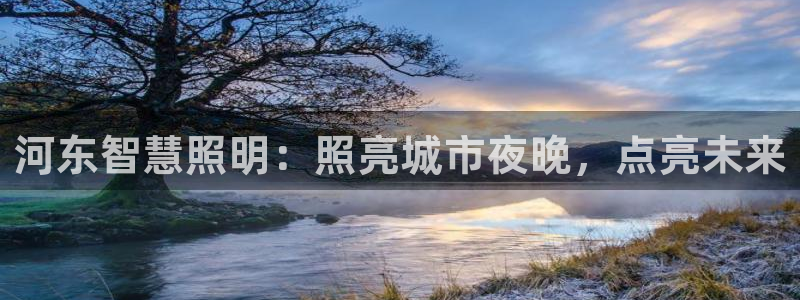 云顶集团网站多少