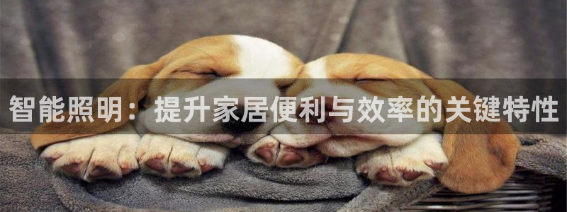 云顶国际app手机版