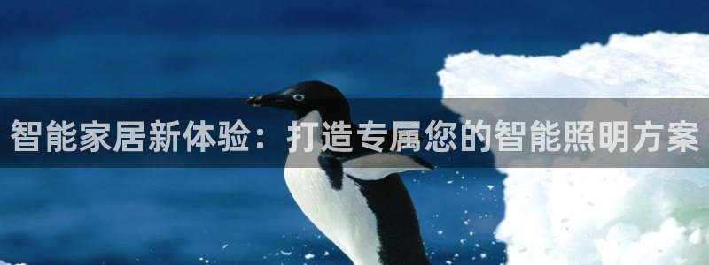 云顶国际官方网