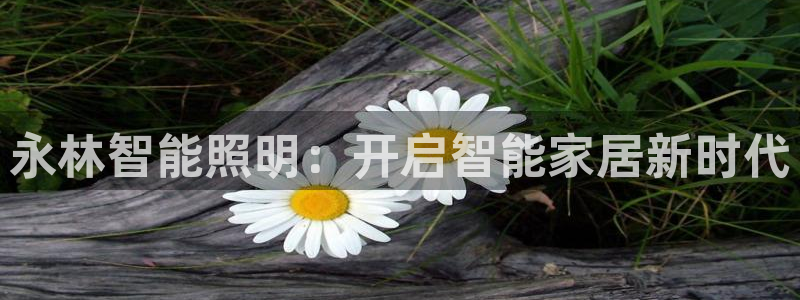 云顶电子游戏网站登录