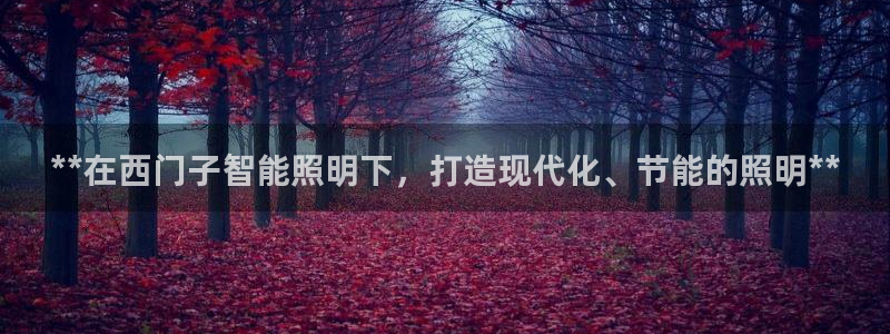 云顶集团介绍