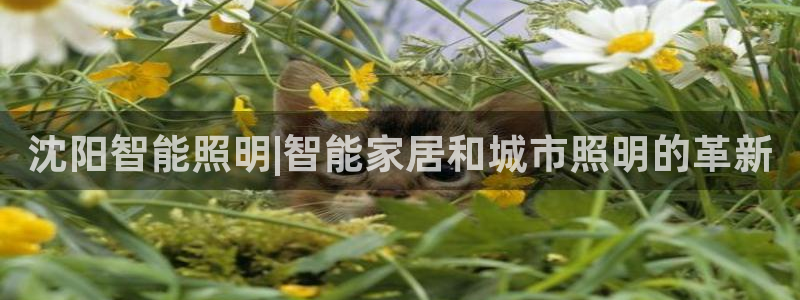 云顶2021