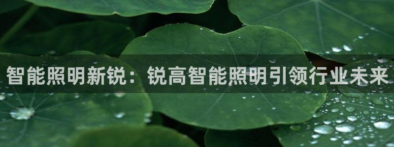 云顶国际官网下载安装