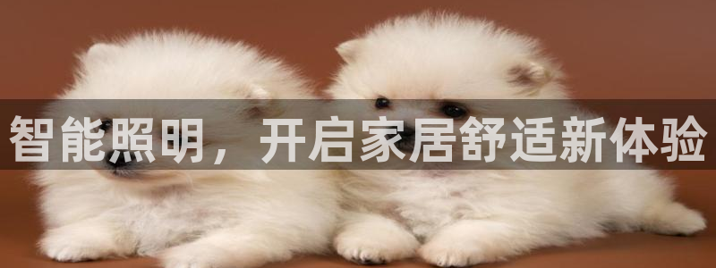云顶国际二手房出售信息