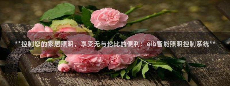 云顶国际服充值