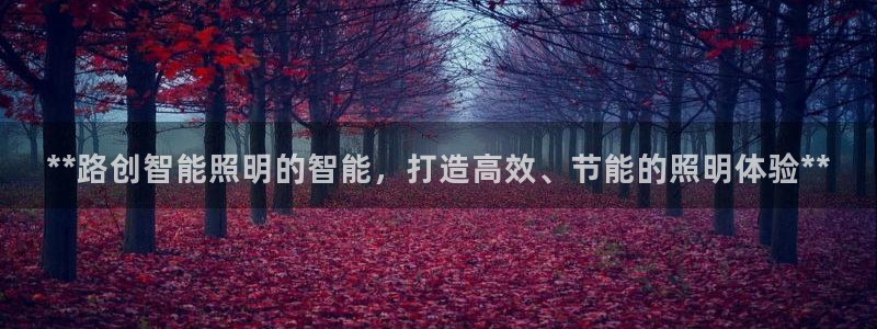 云顶国际提现不到账怎么办