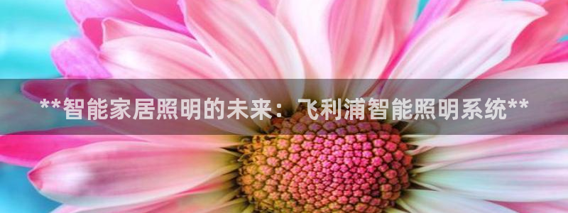 云顶国际是做什么的公司
