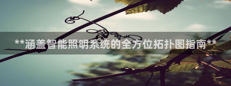 上海云顶国际会所有什么服务
