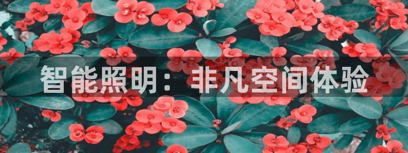 云顶国际二手房价格走势