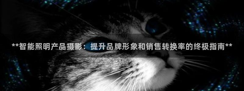 云顶电子游戏网站
