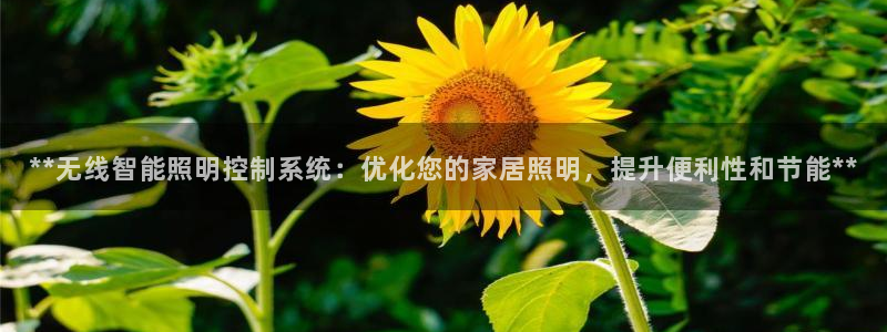 云顶国际公馆是公寓吗