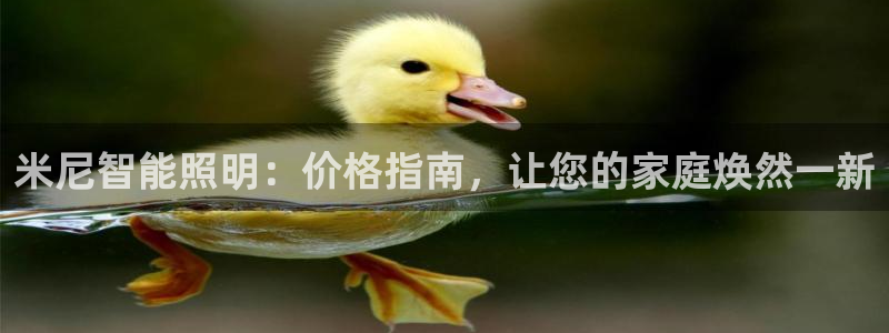 云顶国际足球app下载最新版