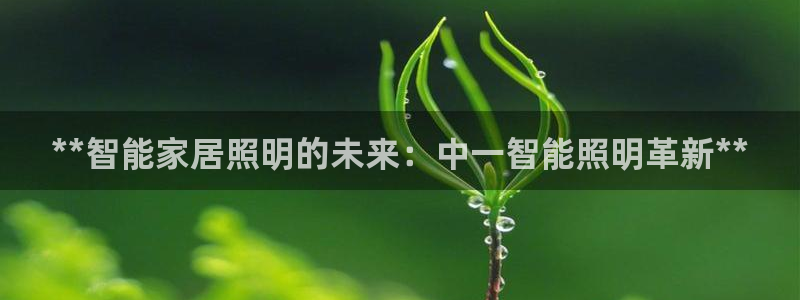 云顶国际版最新版苹果版