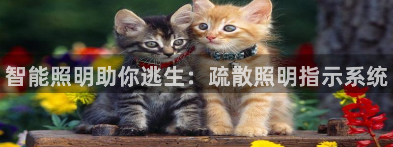 云顶国际公馆是公寓吗还是住宅